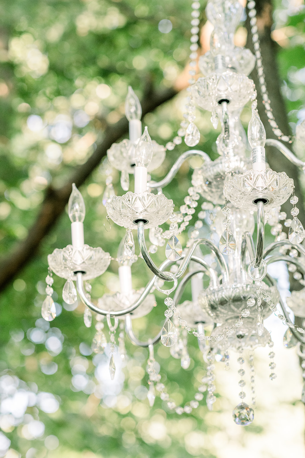 wedding ceremony tree chandelier