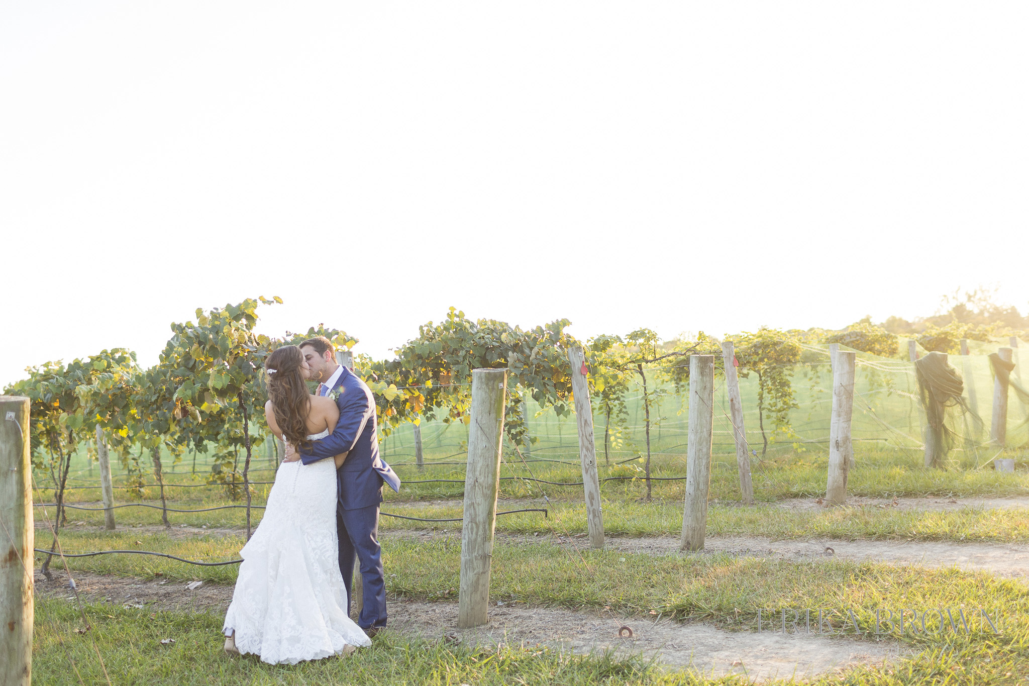 daniels vineyard wedding