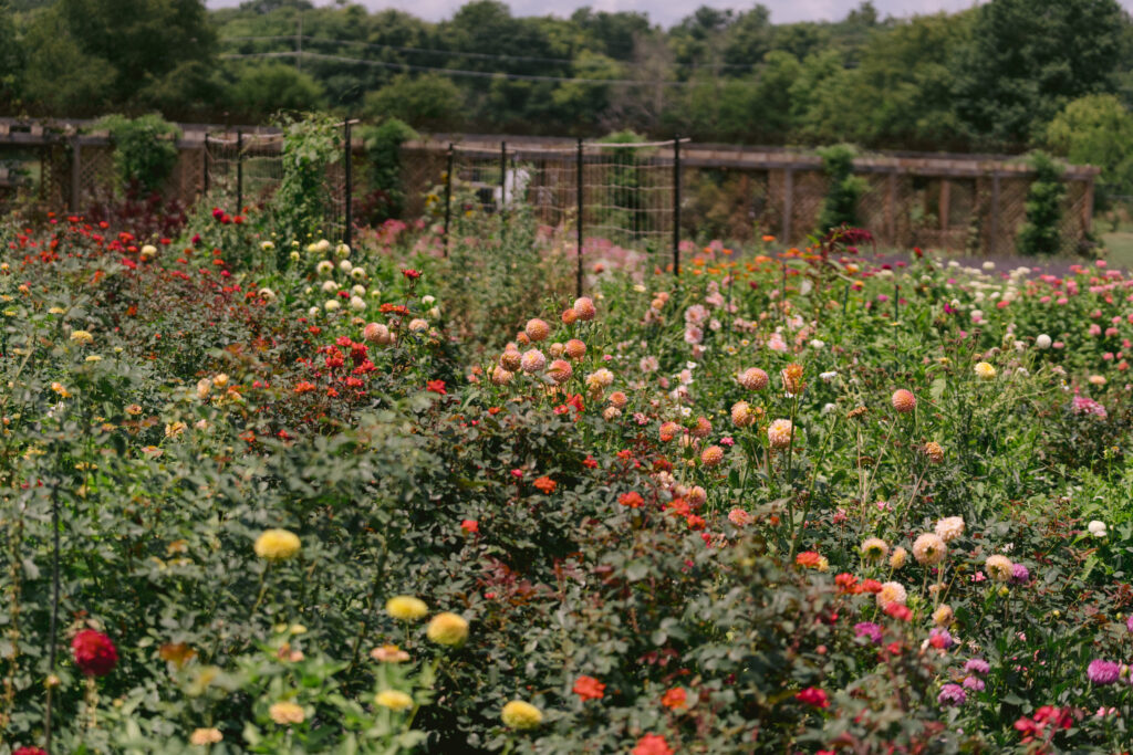 Artisan Acres flower farm