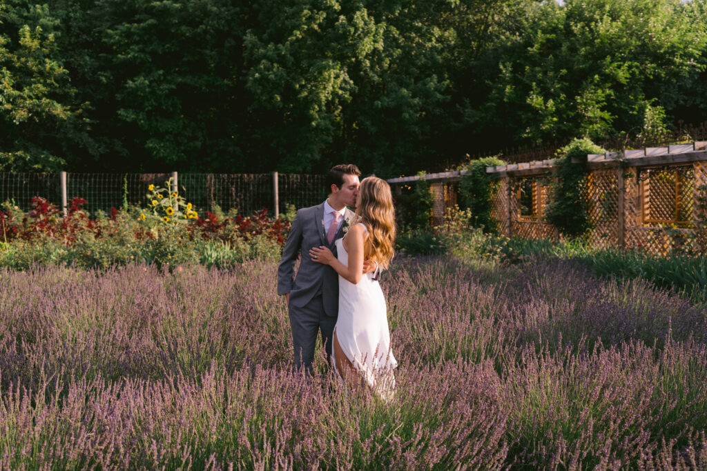 Artisan Acres Lavender field