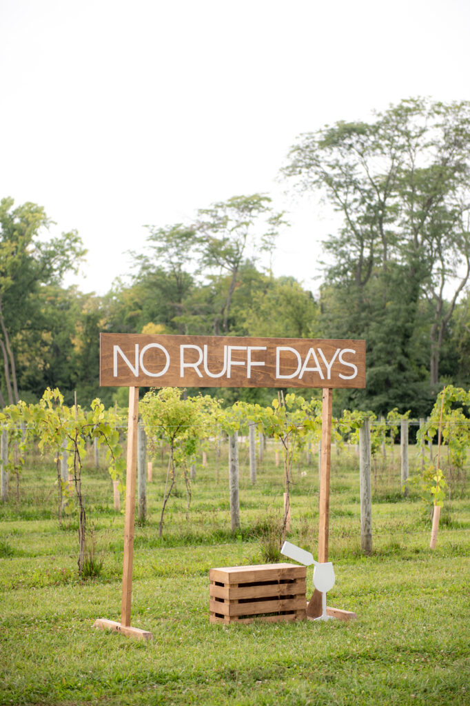 daniel's vineyard wedding vineyards
