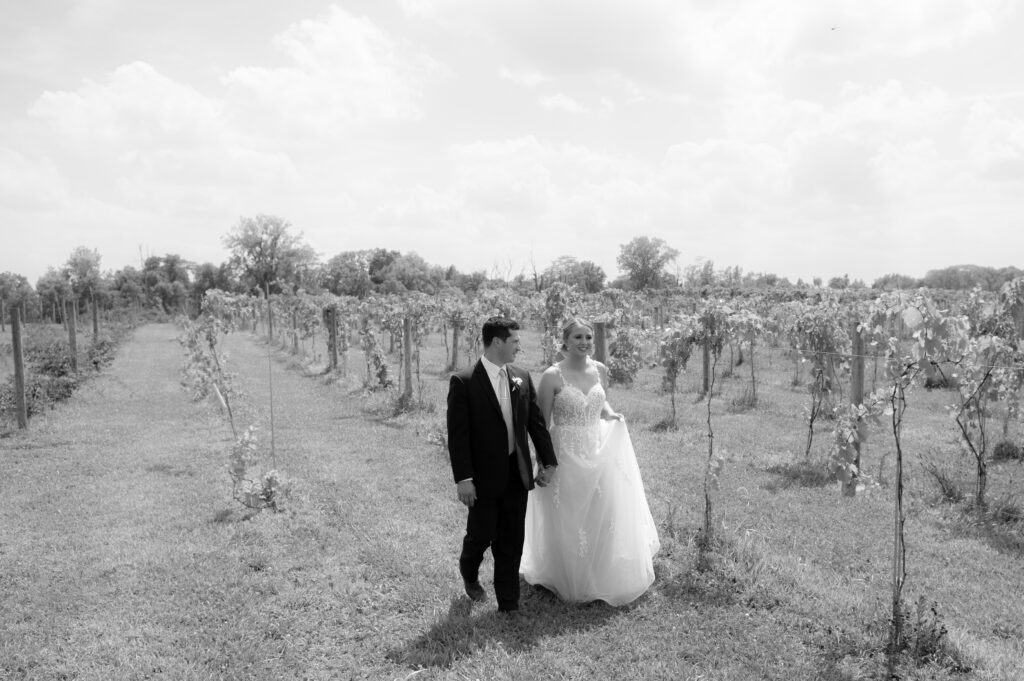 daniel's vineyard wedding with couple walking in the vineyards
