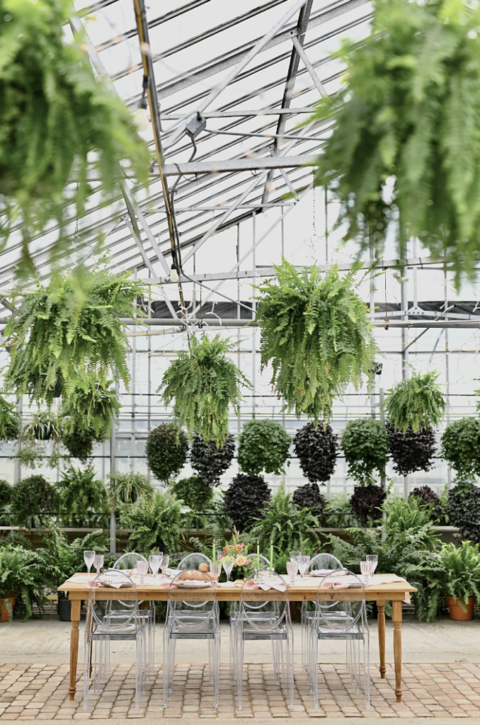 Midwest botanical wedding venues - greenhouse lafayette, indiana