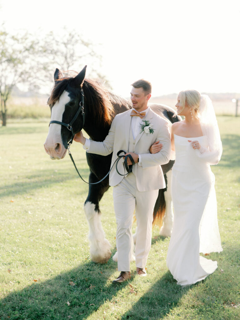 white willow farms major draft horse