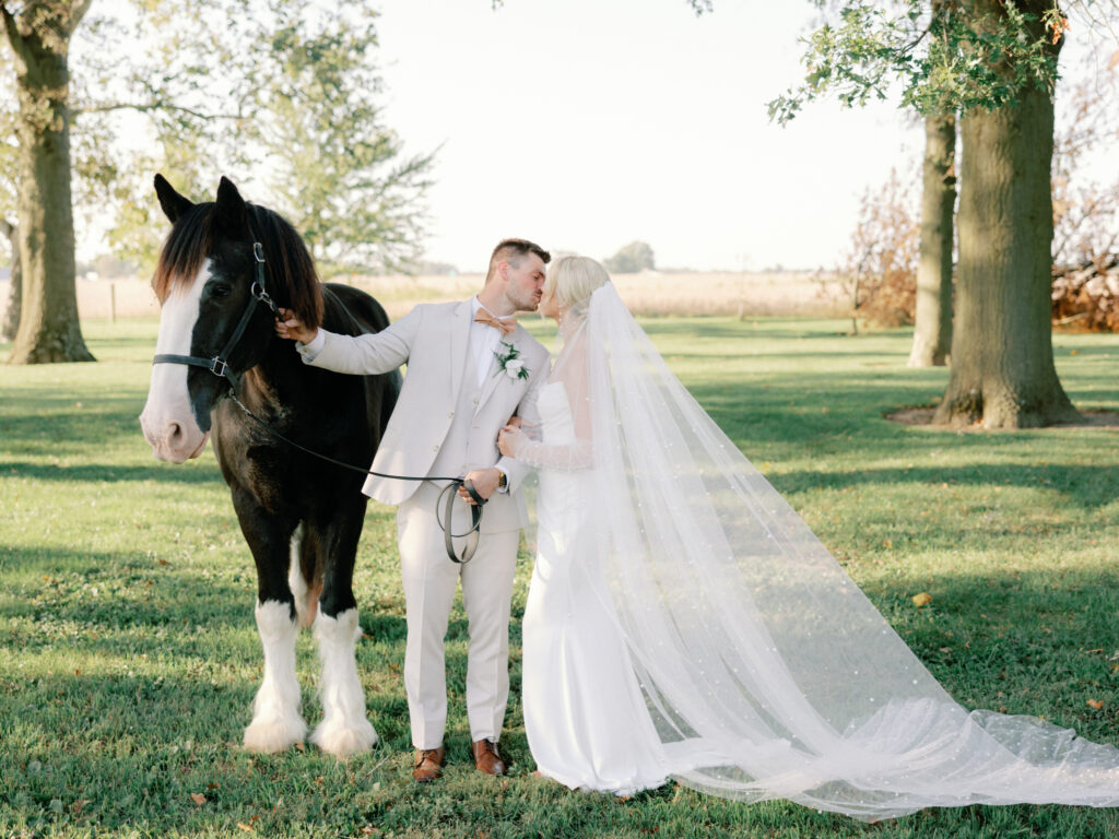 white willow farms horses